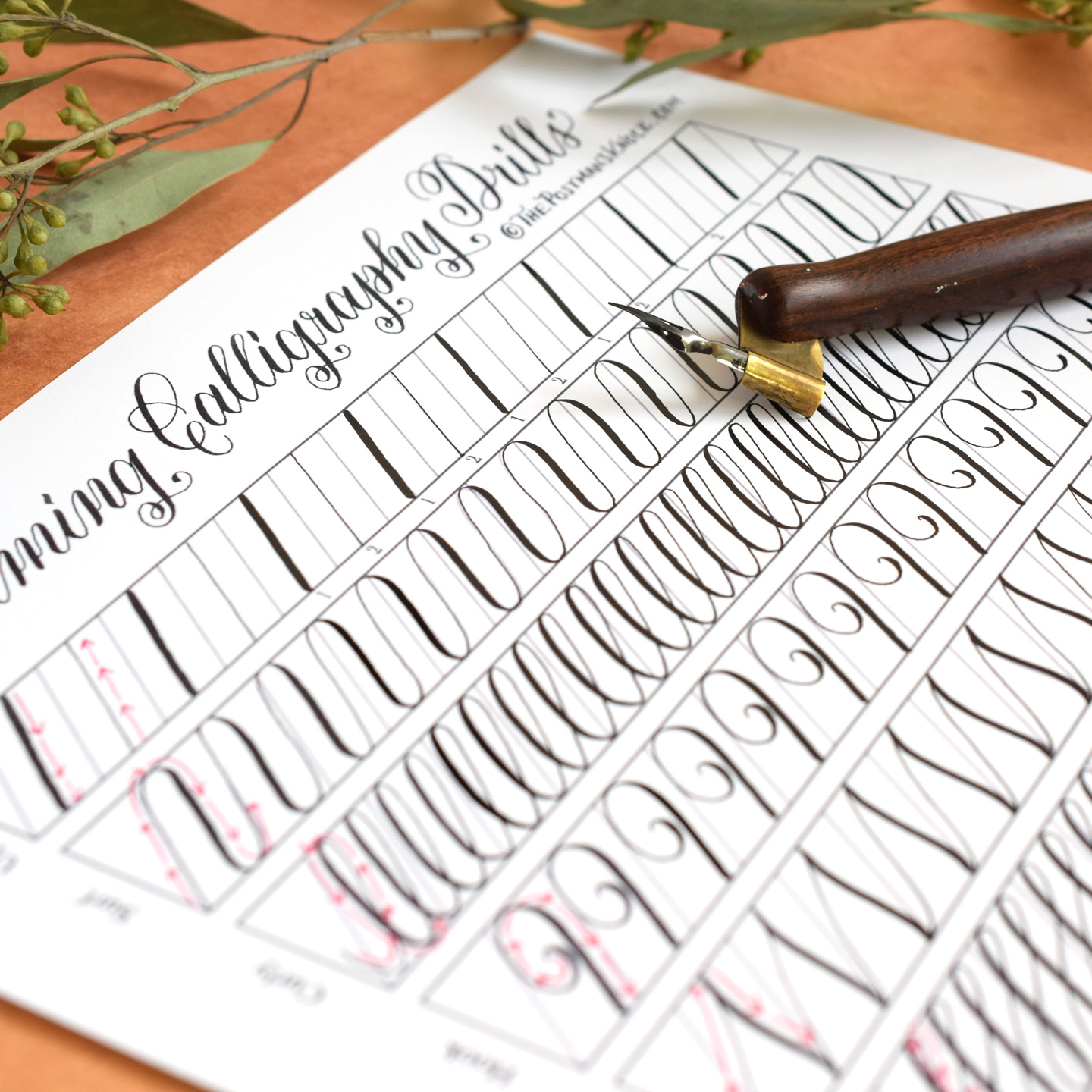 calligraphy practice sheets printable free calligraphy practice sheets printable free